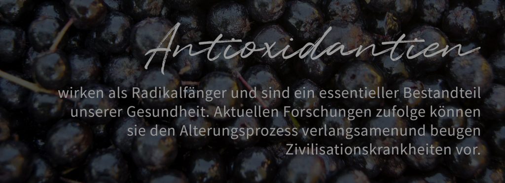 Antioxidantien und Aronia